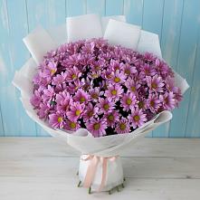Букет цветов из:  Хризантемы в Лучинское