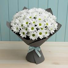 Букет цветов из:  Хризантемы в Лучинское