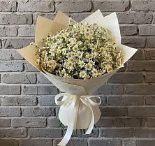 Букет цветов из:  Ромашки #REPLACE_PRED# Лучинское
