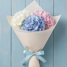 Букет цветов из:  Гортензия в Лучинское