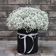 Цветочная композиция из Гипсофила в шляпной коробке #REPLACE_PRED# Лучинское