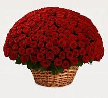 Премиум букет из: Розы #REPLACE_PRED# Лучинское